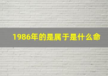 1986年的是属于是什么命