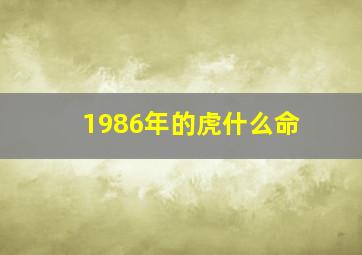 1986年的虎什么命