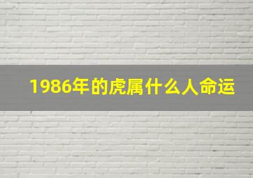 1986年的虎属什么人命运