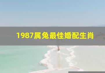 1987属兔最佳婚配生肖