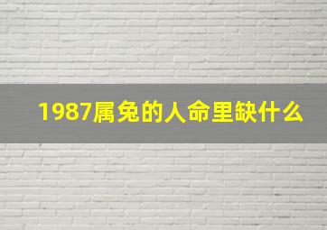 1987属兔的人命里缺什么