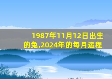 1987年11月12日出生的兔,2024年的每月运程