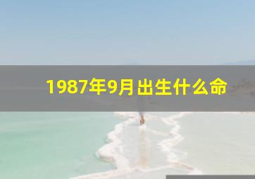 1987年9月出生什么命