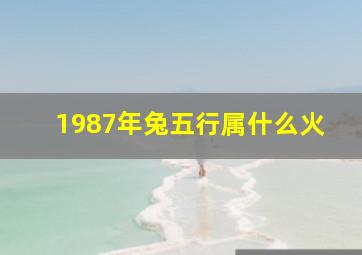 1987年兔五行属什么火