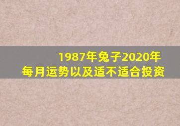 1987年兔子2020年每月运势以及适不适合投资