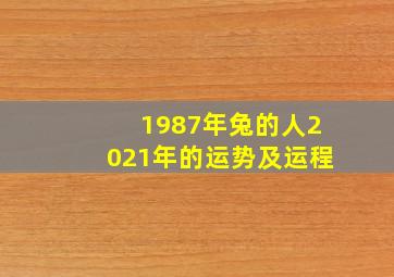 1987年兔的人2021年的运势及运程