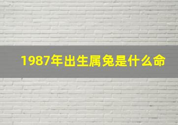 1987年出生属兔是什么命