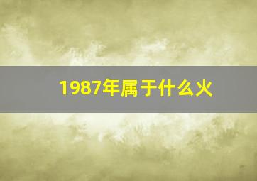 1987年属于什么火