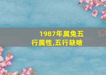 1987年属兔五行属性,五行缺啥