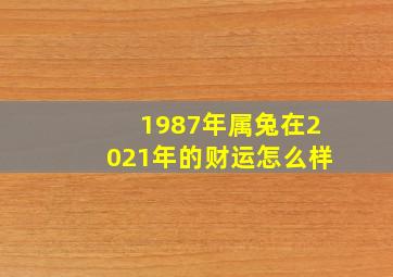 1987年属兔在2021年的财运怎么样