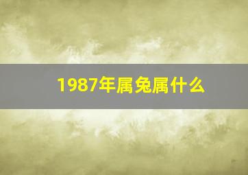 1987年属兔属什么