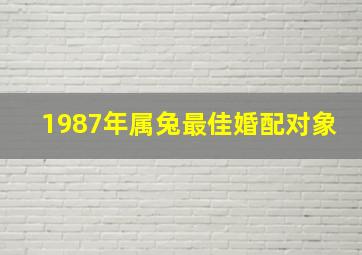 1987年属兔最佳婚配对象