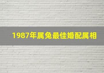 1987年属兔最佳婚配属相