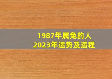 1987年属兔的人2023年运势及运程