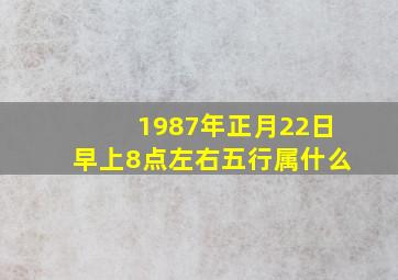 1987年正月22日早上8点左右五行属什么