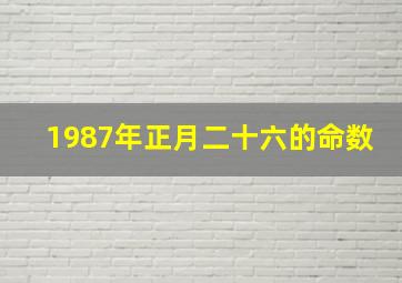 1987年正月二十六的命数