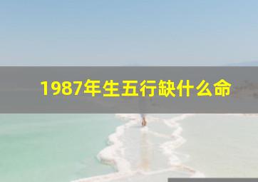 1987年生五行缺什么命