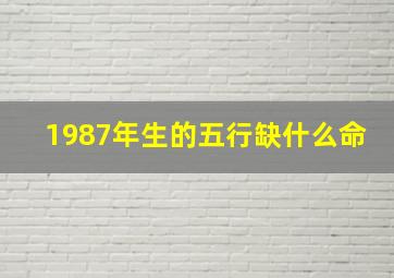 1987年生的五行缺什么命