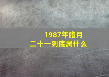 1987年腊月二十一到底属什么