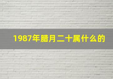 1987年腊月二十属什么的