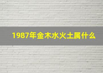 1987年金木水火土属什么