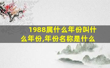 1988属什么年份叫什么年份,年份名称是什么