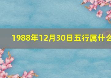 1988年12月30日五行属什么