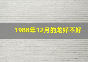 1988年12月的龙好不好