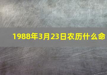 1988年3月23日农历什么命