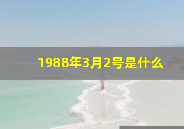 1988年3月2号是什么