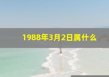 1988年3月2日属什么