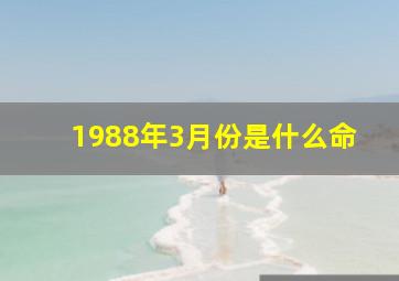 1988年3月份是什么命