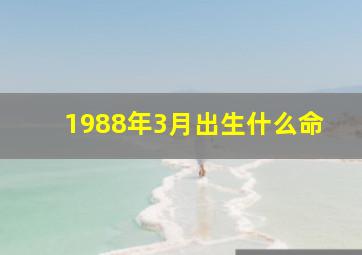 1988年3月出生什么命