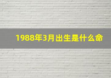 1988年3月出生是什么命