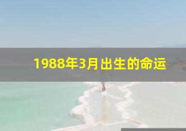 1988年3月出生的命运