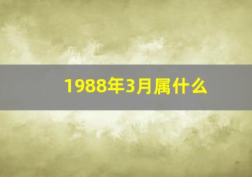 1988年3月属什么