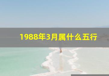 1988年3月属什么五行