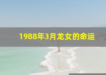 1988年3月龙女的命运