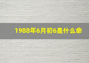 1988年6月初6是什么命