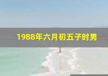 1988年六月初五子时男