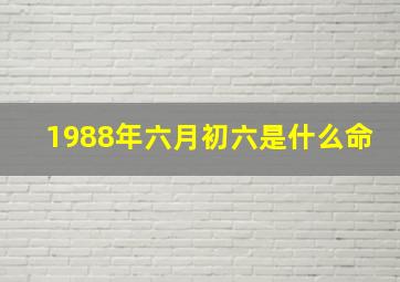 1988年六月初六是什么命