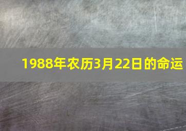 1988年农历3月22日的命运