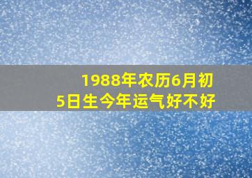 1988年农历6月初5日生今年运气好不好