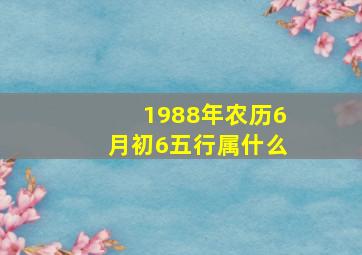 1988年农历6月初6五行属什么