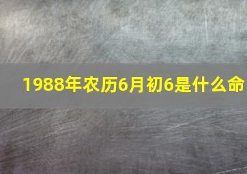 1988年农历6月初6是什么命