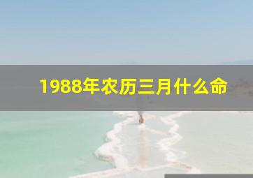 1988年农历三月什么命