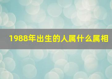 1988年出生的人属什么属相