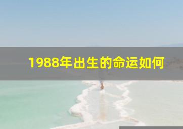 1988年出生的命运如何