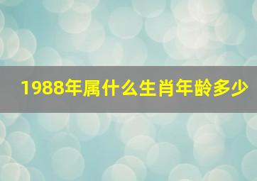 1988年属什么生肖年龄多少