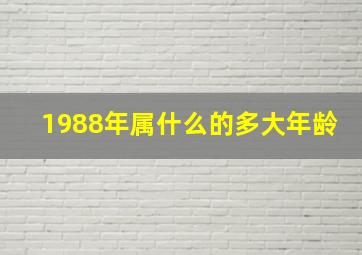 1988年属什么的多大年龄